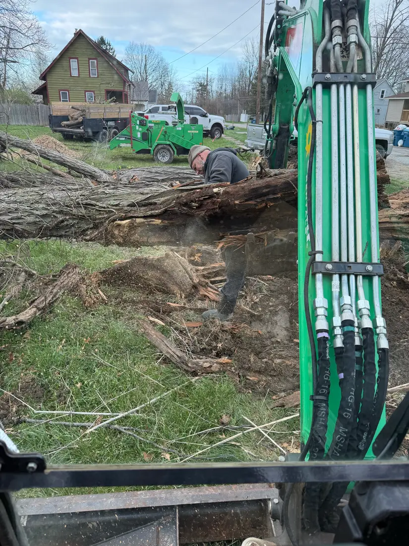 Excavator pulling a stump out of the ground